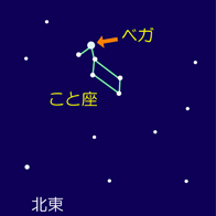 こと座を見つけよう